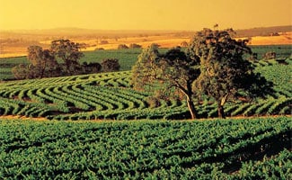 Barossa Valley