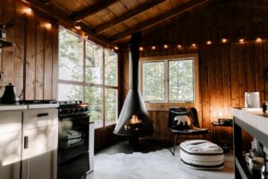 Cabin Living room 