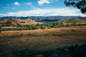 Green Grass Mountain